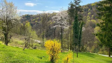 Frühlingslandschaft mit blühenden Bäumen und Sträuchern, umgeben von grünen Hügeln unter blauem Himmel.