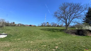 Grüne Wiese mit einem Baum und Blick auf entfernte Häuser unter blauem Himmel.