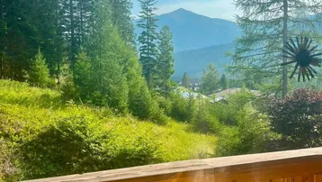 Expose HOHENTAUERN am Triebener Tauern/Stmk.: Sommerfrische so wie früher 