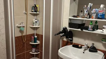 Badezimmer mit Duschkabine, Waschbecken und gefliesten Wänden im traditionellen Stil.