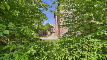 Blick durch dichtes Grün auf einen Weg und ein älteres Gebäude im Hintergrund unter blauem Himmel.
