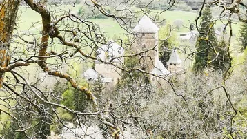Historisches Gebäude mit Türmen, umgeben von Bäumen und grüner Landschaft, aus der Ferne betrachtet.