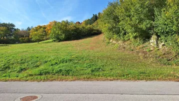 Grünes Grundstück mit leichter Hanglage, umgeben von Bäumen und einer asphaltierten Straße.