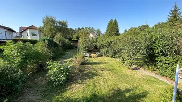 Gepflegter Garten mit Rasenfläche, Bäumen und Sträuchern, ideal zum Entspannen im Freien.