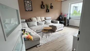 Gemütliches Wohnzimmer mit großem Ecksofa, Holzboden und einer Akzentwand in warmem Farbton.