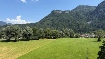 Weitläufige grüne Felder mit majestätischen Bergen im Hintergrund unter blauem Himmel.