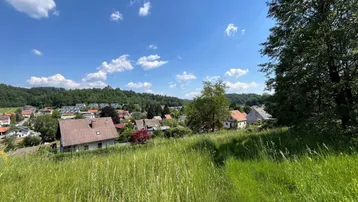 Panoramablick über eine grüne Wiese auf ein idyllisches Dorf mit Häusern und bewaldeten Hügeln unter blauem Himmel.