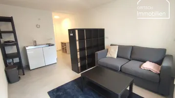 Helles Wohnzimmer mit grauem Sofa, Couchtisch und integrierter Küchenzeile in modernem Ambiente.