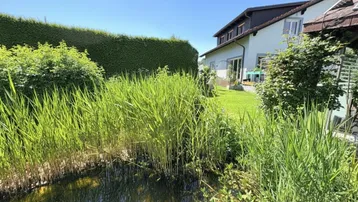 Großer Garten mit Teich und üppiger Vegetation, umgeben von einer hohen Hecke und einem Wohnhaus im Hintergrund.