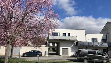 Moderne Wohngebäude mit weißer Fassade und blühendem Baum unter blauem Himmel.
