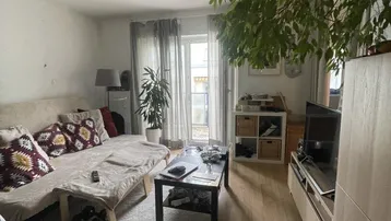 Gemütliches Wohnzimmer mit Sofa, Couchtisch, Fernseher und Zugang zu einem Außenbereich.