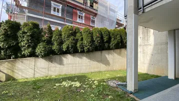 Gartenbereich mit Rasen und Hecke, im Hintergrund ein Gebäude mit Gerüst.
