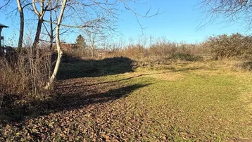 Sonnige, weitläufige Grünfläche mit Bäumen und trockenem Laub, ideal für naturnahes Wohnen.