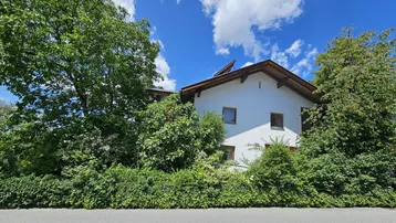 Hausfassade mit üppiger Begrünung, großen Bäumen und blauem Himmel an einem sonnigen Tag.