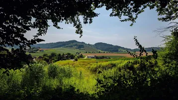 Blick auf eine weite, grüne Hügellandschaft mit Feldern und vereinzelten Häusern unter blauem Himmel.