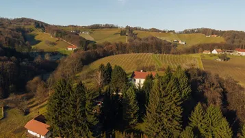 Panoramablick auf das Anwesen in einer hügeligen Landschaft mit Weinbergen.