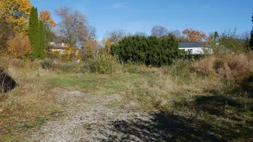 Unbebautes Grundstück mit Gras und Sträuchern, umgeben von Bäumen und Häusern im Hintergrund.