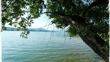 Idyllisches Seeufer mit klarem Wasser und grünen Bäumen unter einem strahlend blauen Himmel.