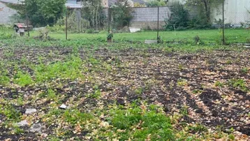 Gartenparzelle mit vorbereitetem Boden und leichter Vegetation, umgeben von einem einfachen Zaun.