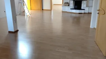 Großer, heller Raum mit Laminatboden, Kamin und Dachfenster.