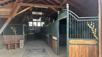 Geräumiger Pferdestall mit mehreren Boxen, Holzbalken und natürlichem Lichteinfall.