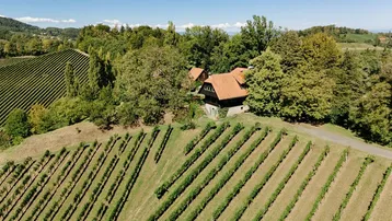 Luftaufnahme eines charmanten Hauses inmitten weitläufiger Weinberge und grüner Hügel.