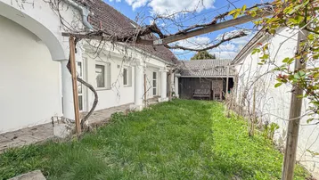 Innenhof mit Rasenfläche und Rankpflanzen an den Gebäudewänden unter blauem Himmel.