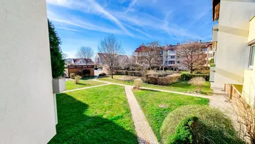 Blick auf den gepflegten Gemeinschaftsgarten mit Rasenflächen und Bäumen unter blauem Himmel.