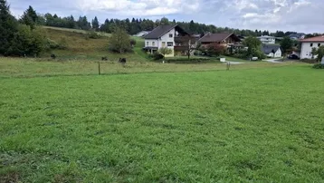 Weitläufige Grünfläche mit Blick auf umliegende Wohnhäuser und bewaldete Hügel unter bewölktem Himmel.