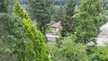 Haus umgeben von üppigem Grün und hohen Bäumen, mit einem Tor im Vordergrund.