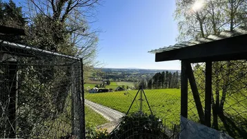 Weitläufiger Blick über die grüne Landschaft und die umliegende Natur.