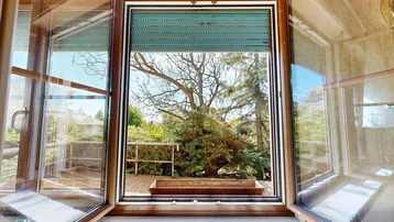 Blick vom Fenster auf den grünen Garten mit Bäumen und Rollladen.
