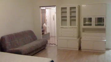 Helles Wohnzimmer mit Laminatboden, Sofa und weißen Schränken für Stauraum.