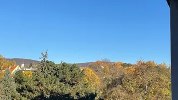 Herbstliche Landschaft mit Bäumen und einem Kirchturm unter klarem blauem Himmel.