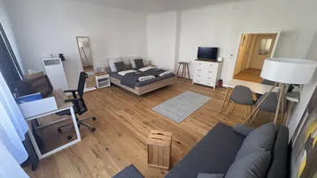 Helles Studio-Apartment mit Holzboden, Schlafbereich, Wohnbereich und Arbeitsplatz, ideal für modernes Wohnen.