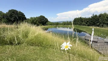 Natürlicher Teich mit Holzsteg und Sitzgelegenheiten, umgeben von üppiger Vegetation und weitem Blick.