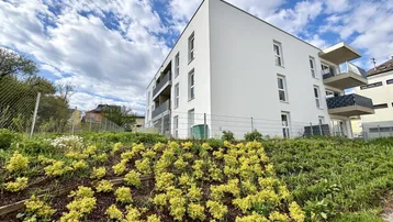 Modernes Neubaugebäude mit weißer Fassade, Balkonen und gepflegter Grünanlage unter blauem Himmel.