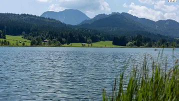 Ruhiger See mit bewaldeten Bergen im Hintergrund und Schilf im Vordergrund unter blauem Himmel.