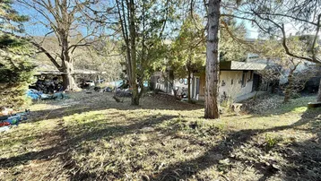 Blick auf ein verwildertes Gartengrundstück mit Bäumen und einem Gebäude im Hintergrund an einem sonnigen Tag.