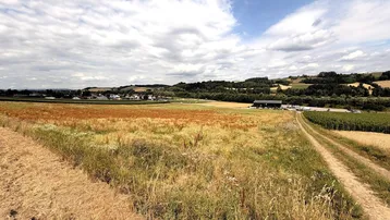 Ländliche Landschaft mit weiten Feldern, einem Feldweg und einem Dorf in der Ferne unter bewölktem Himmel.