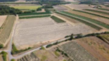 Luftaufnahme von weitläufigen Feldern und Weinbergen mit ländlichen Wegen in einer malerischen Landschaft.