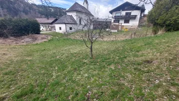 Grüne Wiese mit jungem Baum, Kirche und Wohnhaus im Hintergrund, umgeben von Bergen.