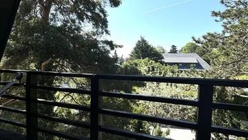 Kleiner Balkon mit schwarzem Geländer und weitem Blick über die Baumwipfel.