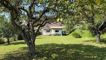Großer, gepflegter Garten mit Obstbäumen und einem Einfamilienhaus im Hintergrund.