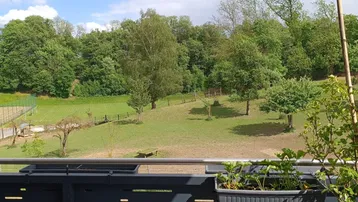 Blick vom Balkon auf eine grüne Landschaft mit Bäumen und einem Sportplatz im Hintergrund.