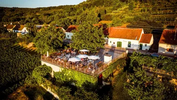 Luftaufnahme einer großen Außenterrasse mit Tischen und Sonnenschirmen, umgeben von Weinbergen und grünen Hügeln.