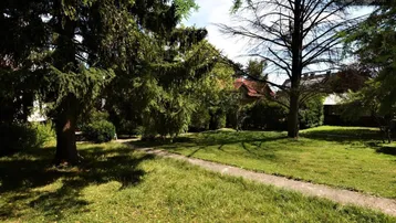 Großer Gartenbereich mit altem Baumbestand, Rasenfläche und einem schmalen Weg, der zum Haus führt.