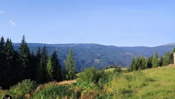 Weitläufiger Blick über grüne Hügel und dichte Wälder bis zu den fernen Bergen unter blauem Himmel.