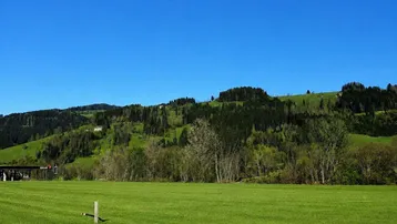 Weitläufige grüne Wiesenflächen mit bewaldeten Hügeln im Hintergrund unter strahlend blauem Himmel.