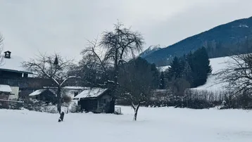 Winterliche Landschaft mit verschneiten Bäumen, einem kleinen Schuppen und Bergen im Hintergrund.
